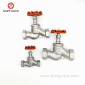 Stainless steel globe valve